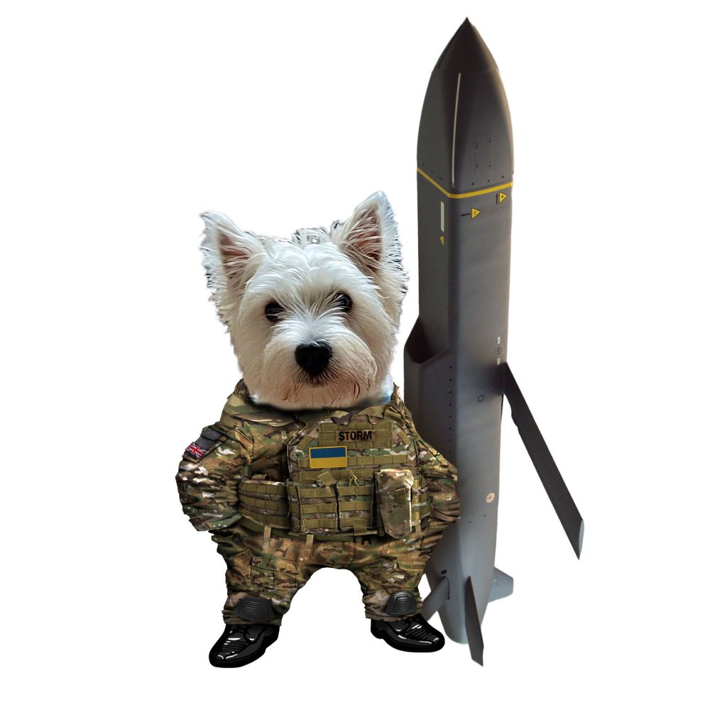StormFella Dave