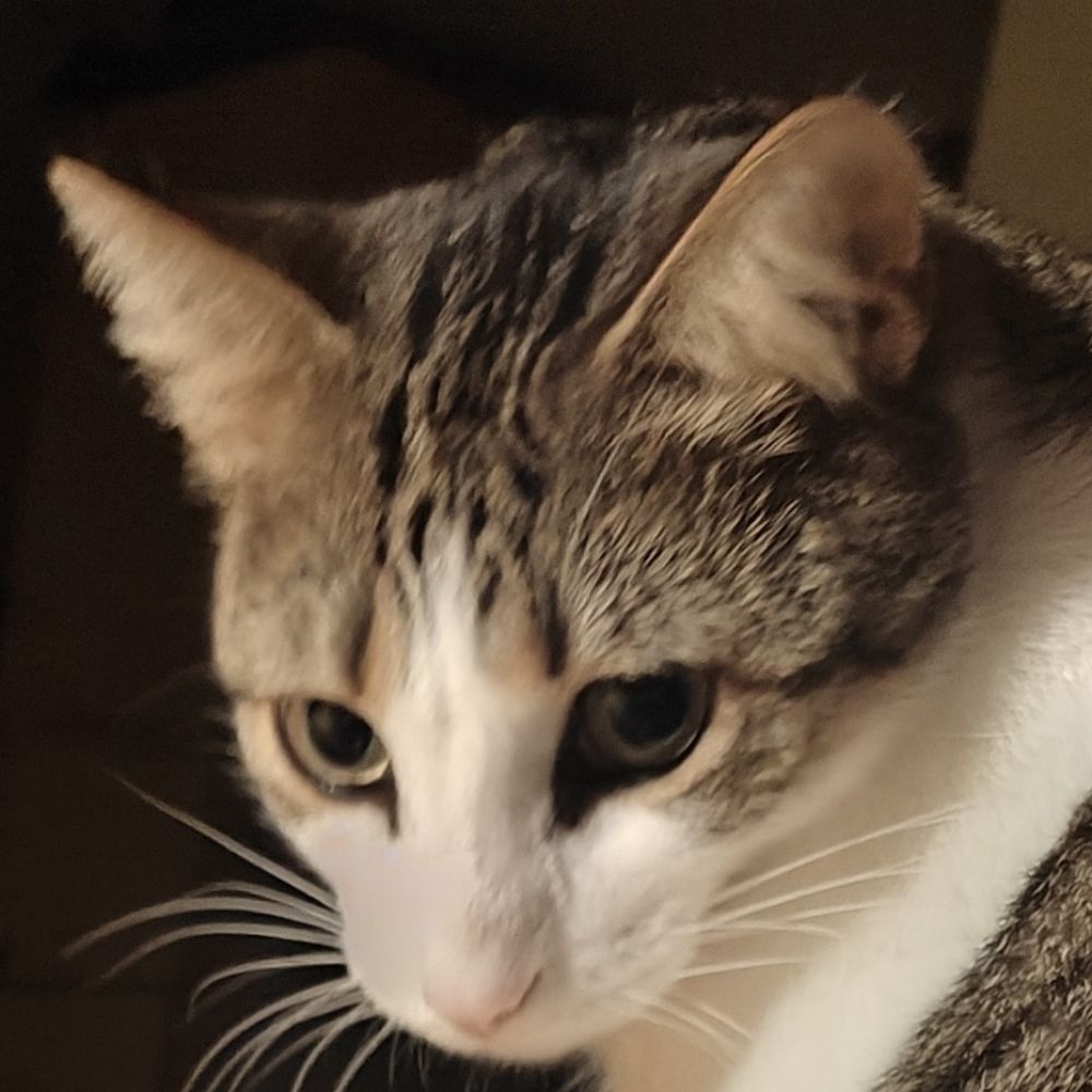 Adam