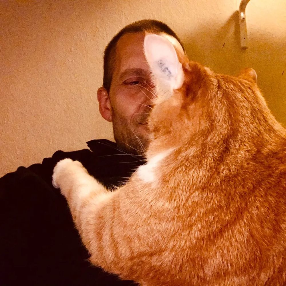 Rød Kat 🇩🇰