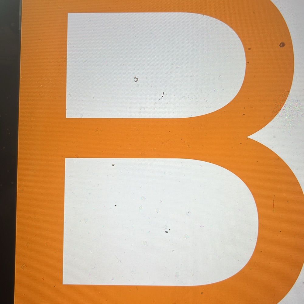  Berliner Institut f. Integrations- u. Migrationsforschung (BIM)