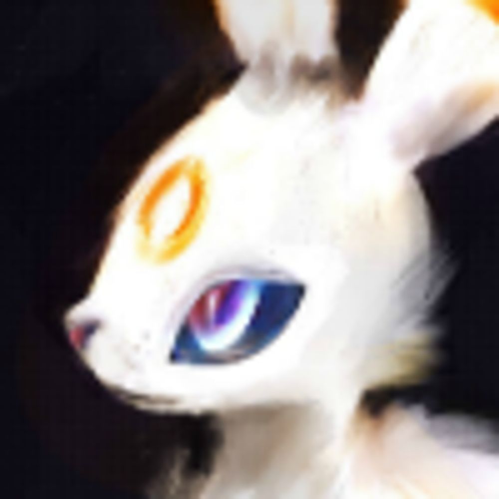 Trigaroo's lost account