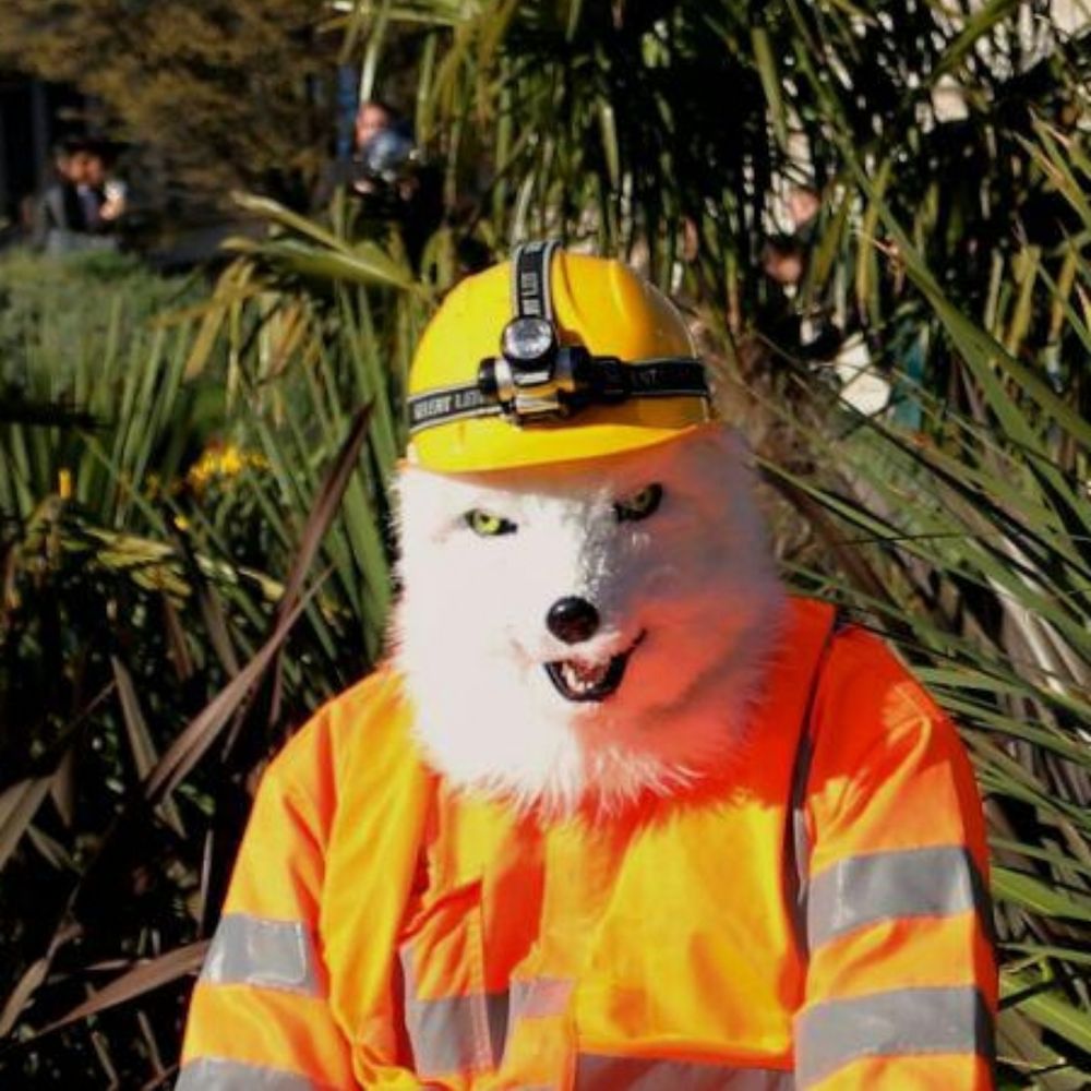 Foxrail 
