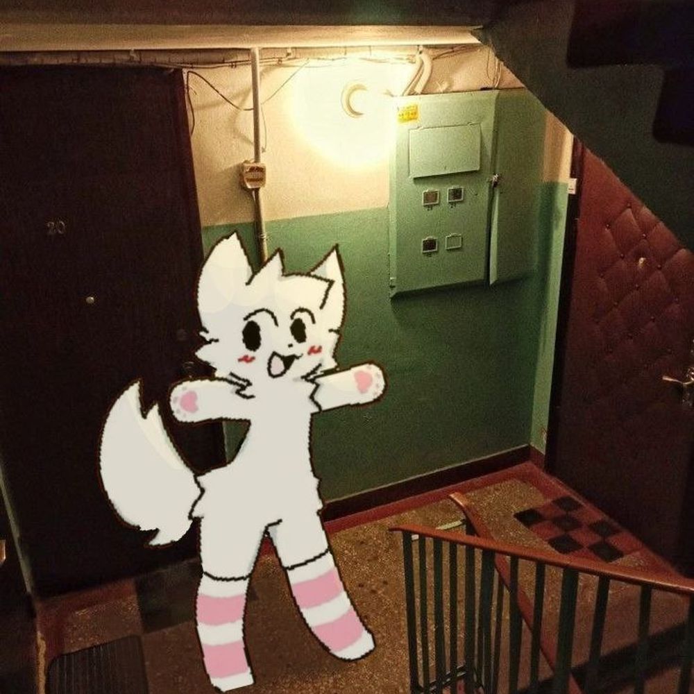 Wenuś