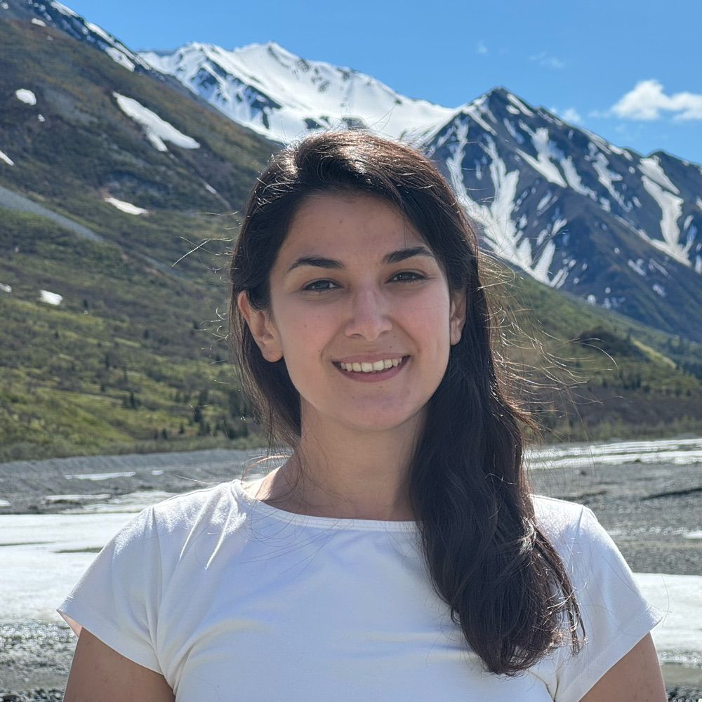Mahsa Bahrami
