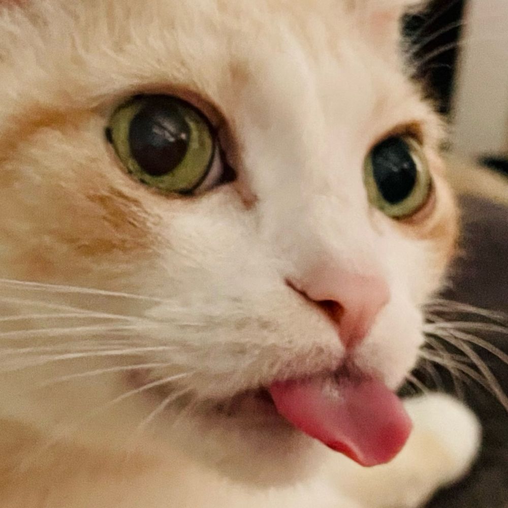 em