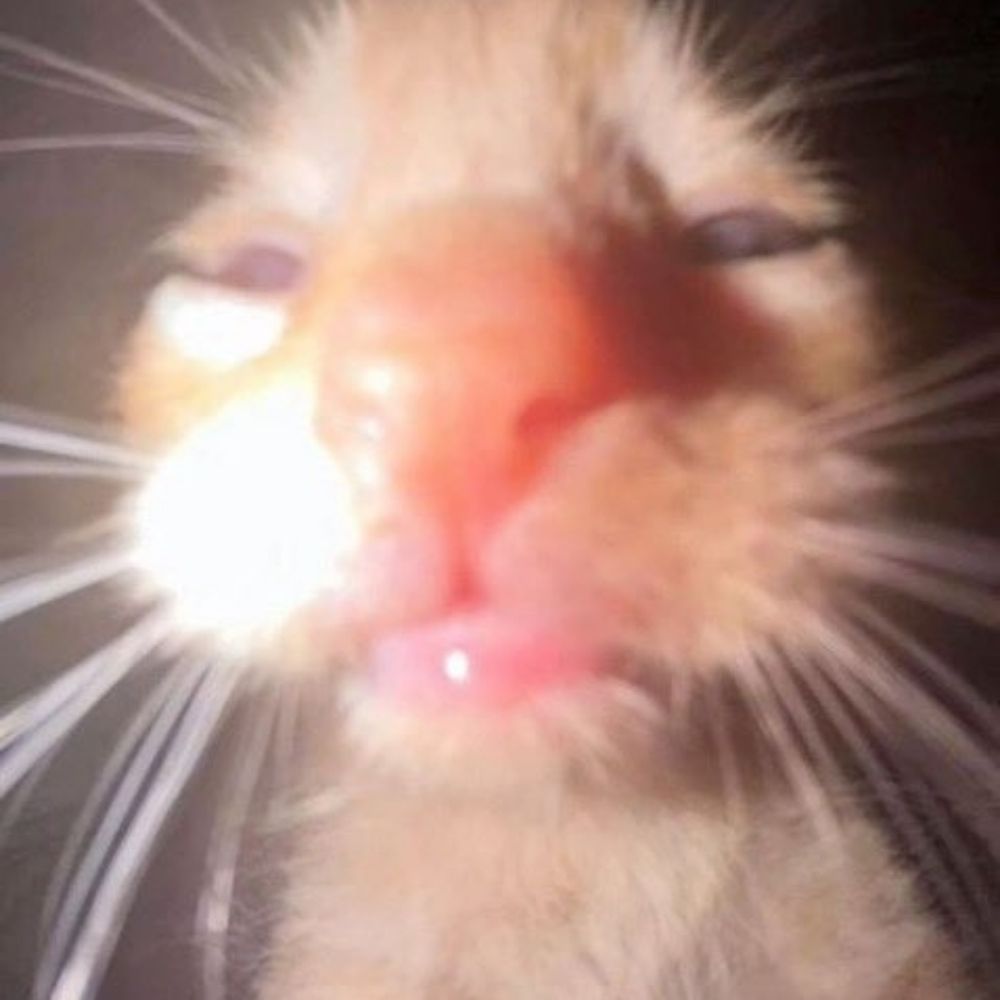 HMMBOP