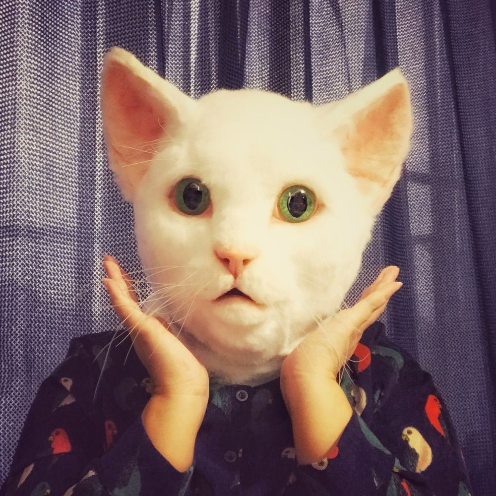 ANJI