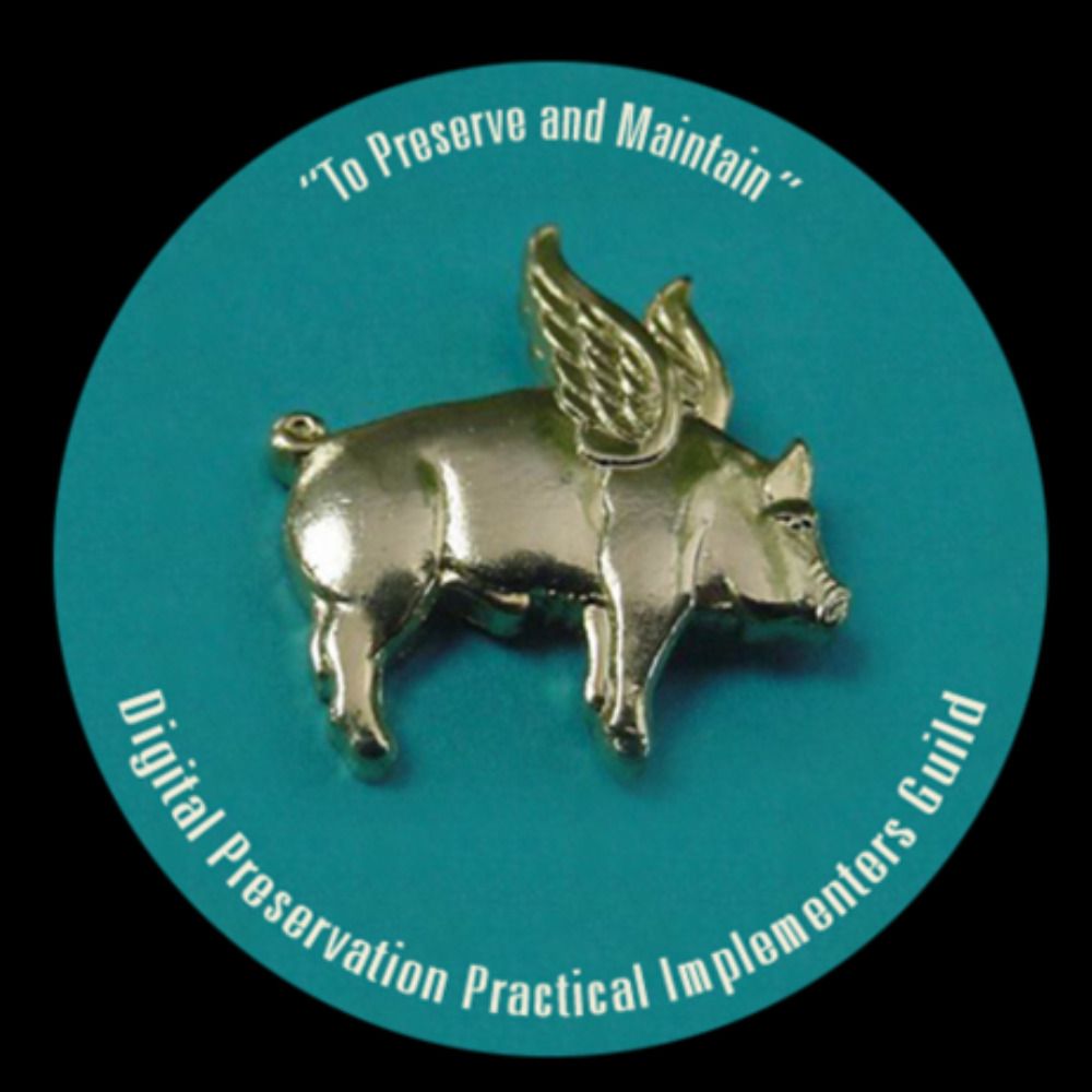 Digital Preservation Practical Implementers Guild