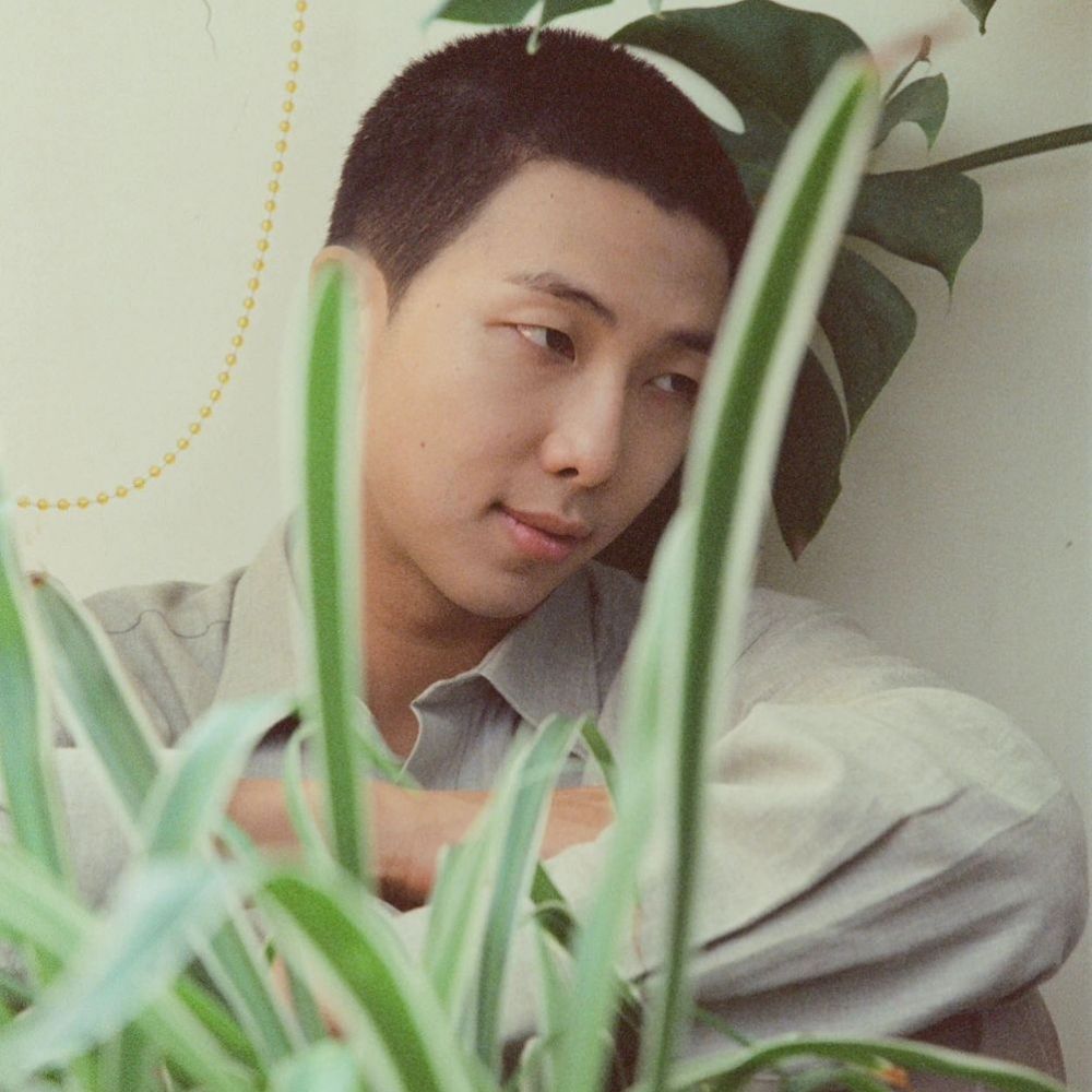 ivy ⁷🌿 ʳᵖʷᵖ just a petal
