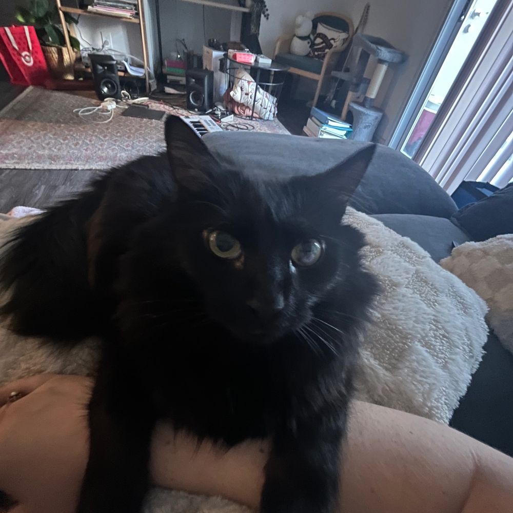 abkaplan9.bsky.social