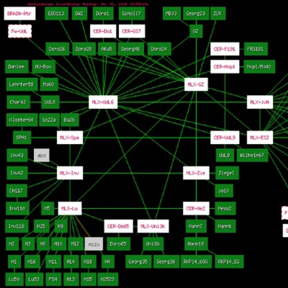 Netzwerkgruppe, CMS, HU Berlin
