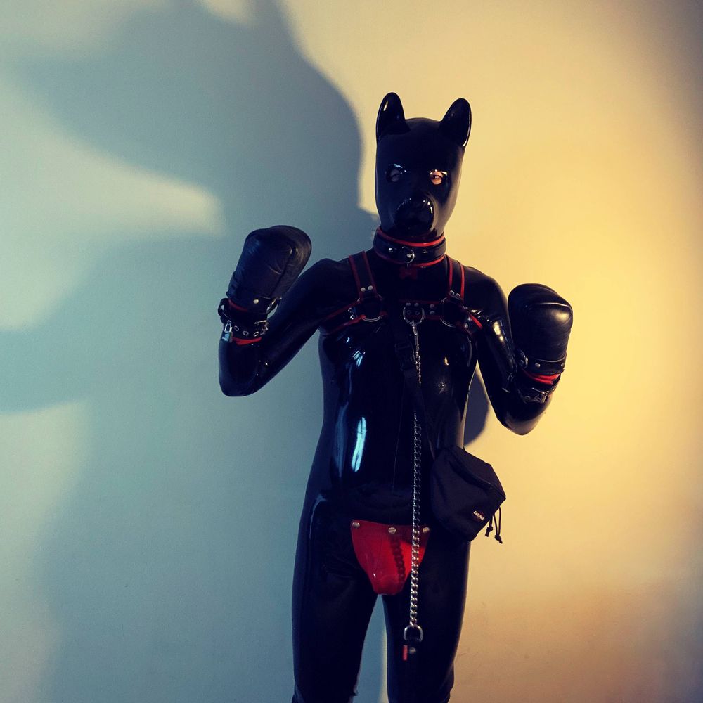 boibxl  🔜 Folsom 🔜 Maspalomas Fetish Week 🔜 MAN Doggyweekend