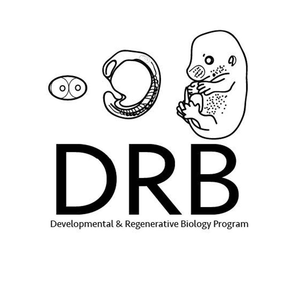 HMS DRB Graduate Program