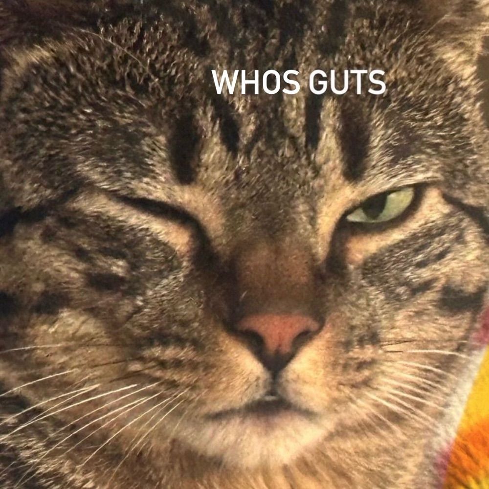 WhosGuts