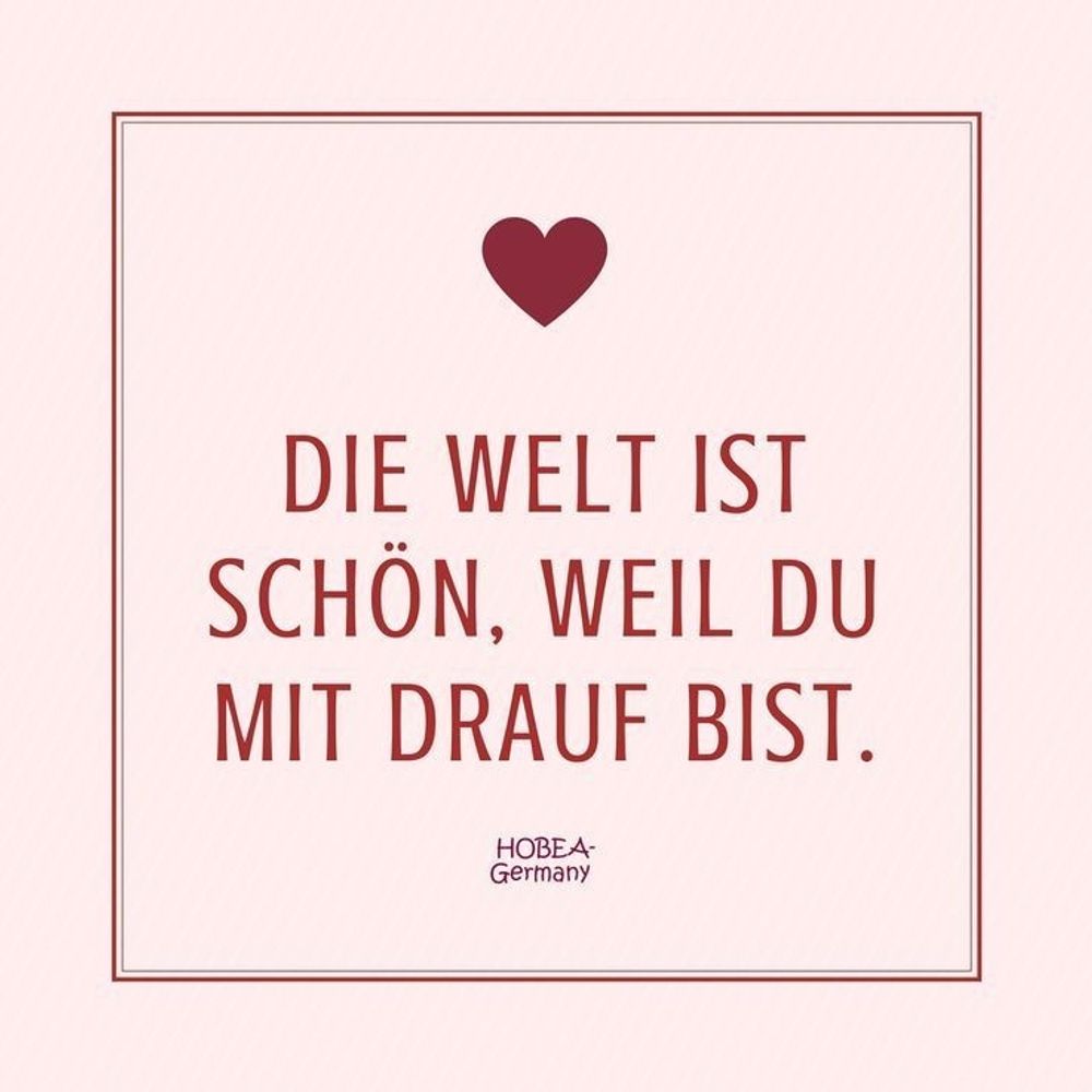 Schuppo2
