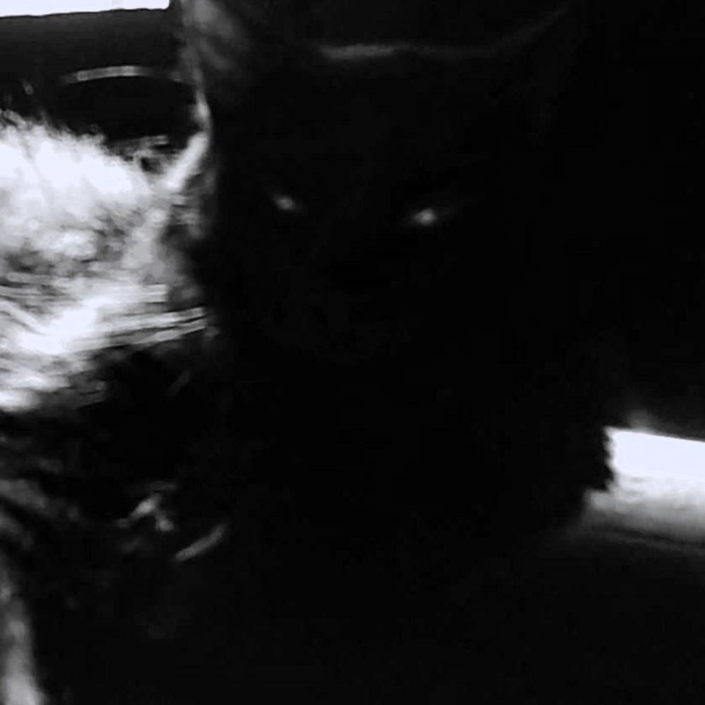 little ghost
