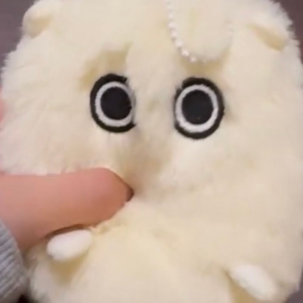 ꒰ྀི ⸝⸝ケダマ🥚⸝⸝ ꒱ྀི