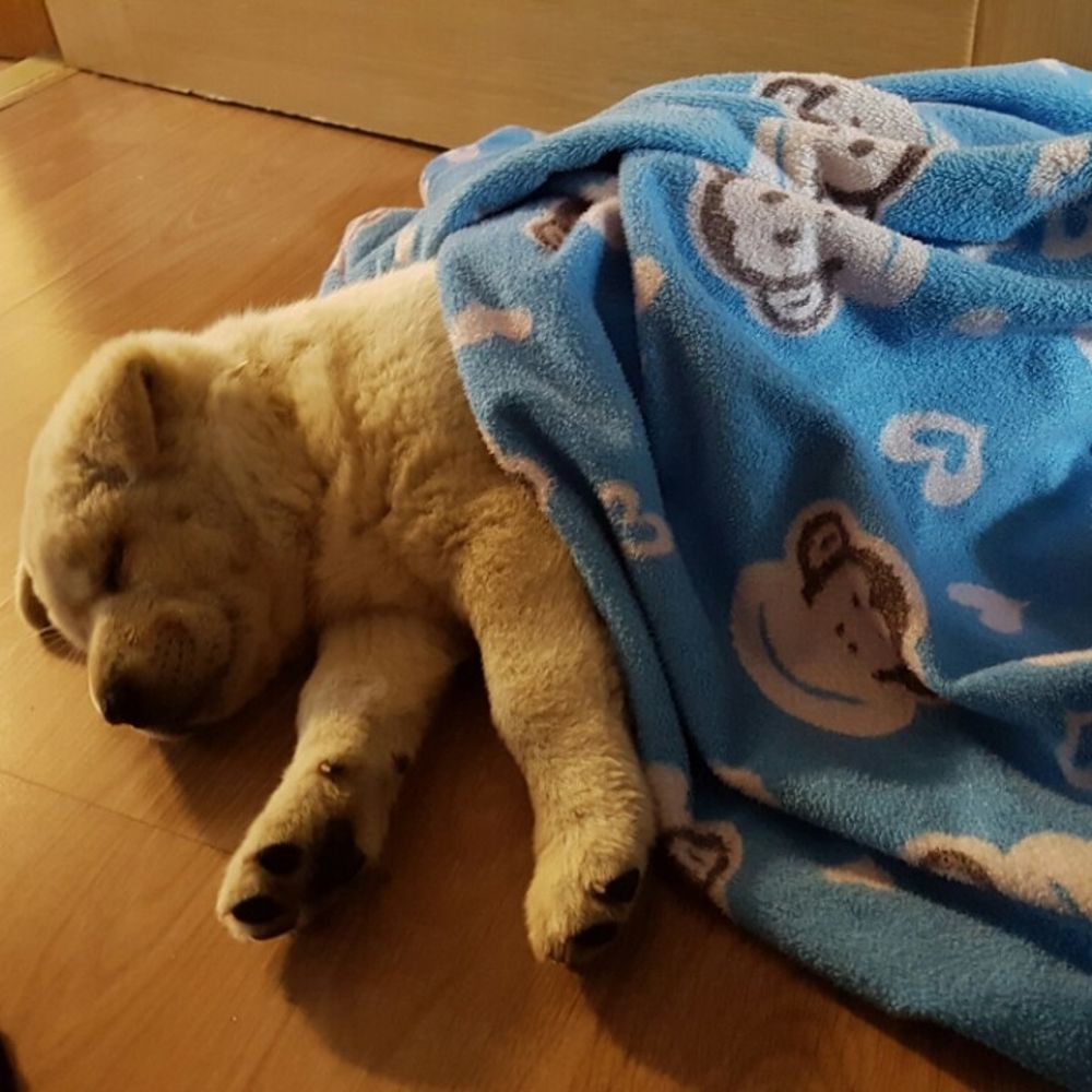 환