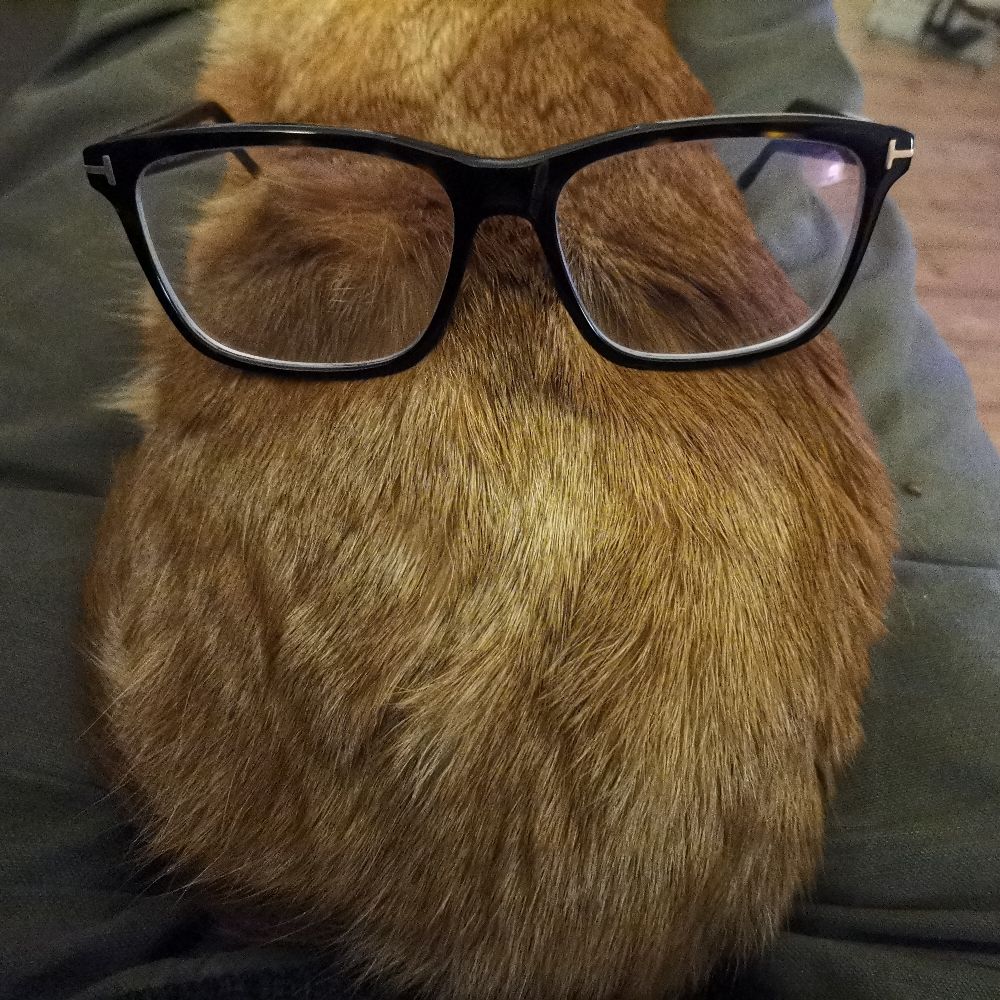 Supercattus