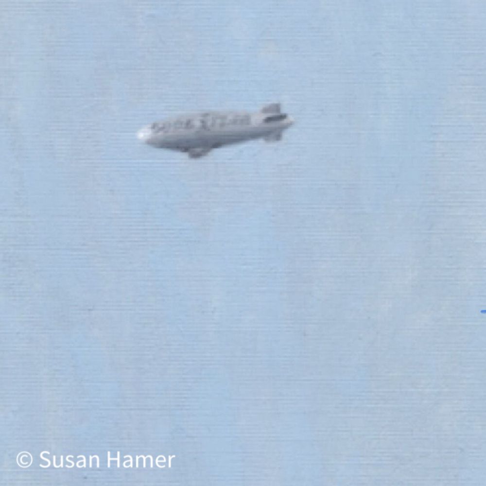 Sue Hamer