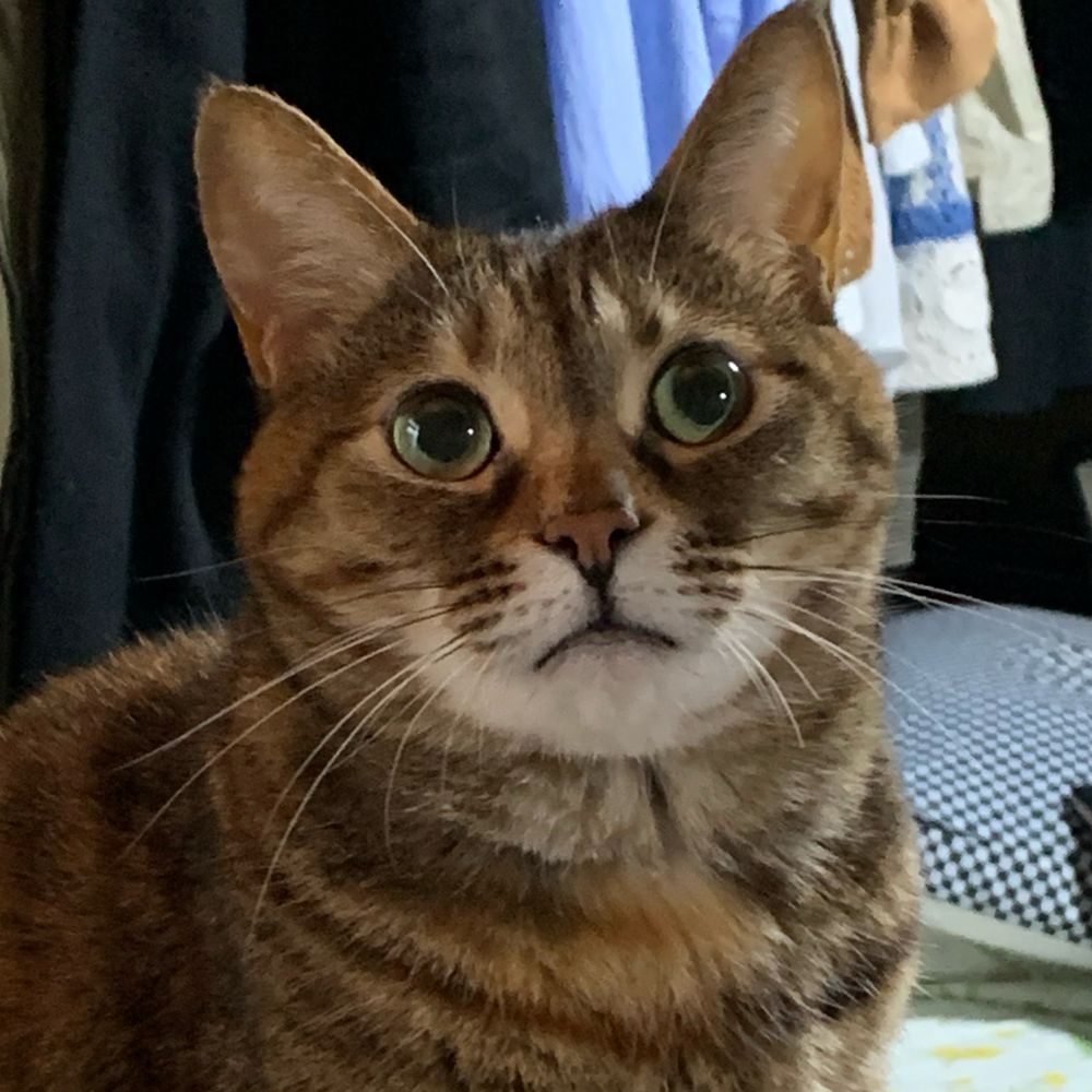 癒月