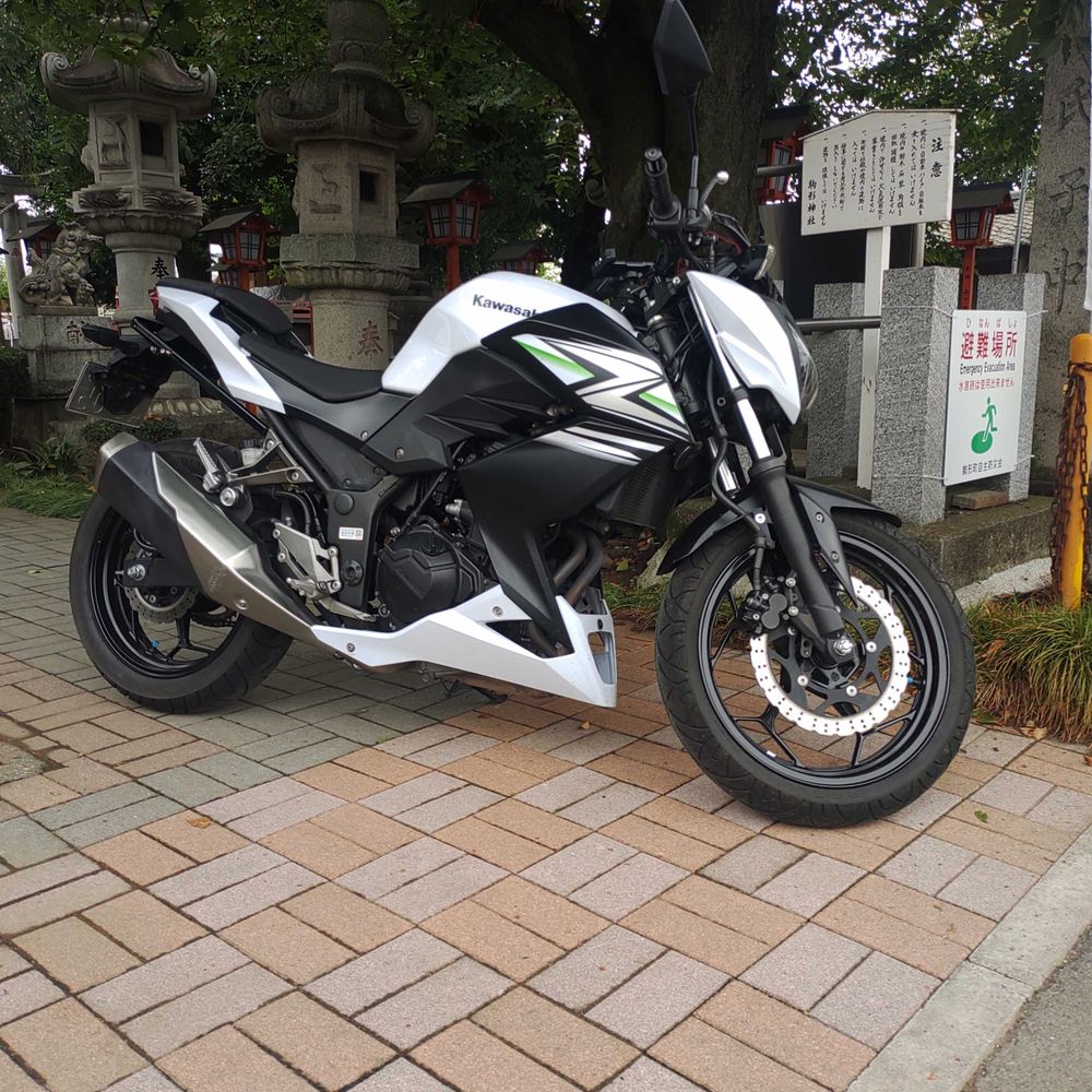 Negitoro999@Z250
