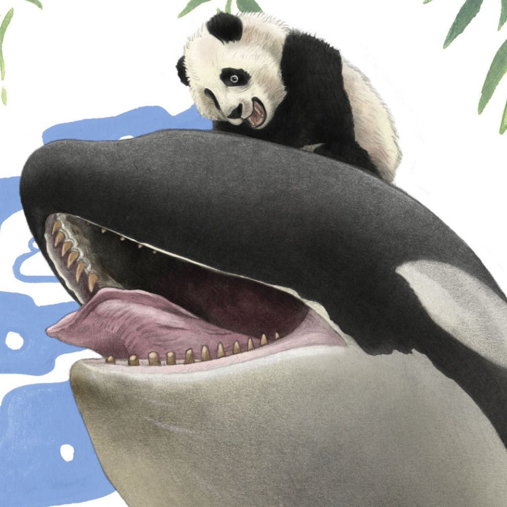 WhalePanda