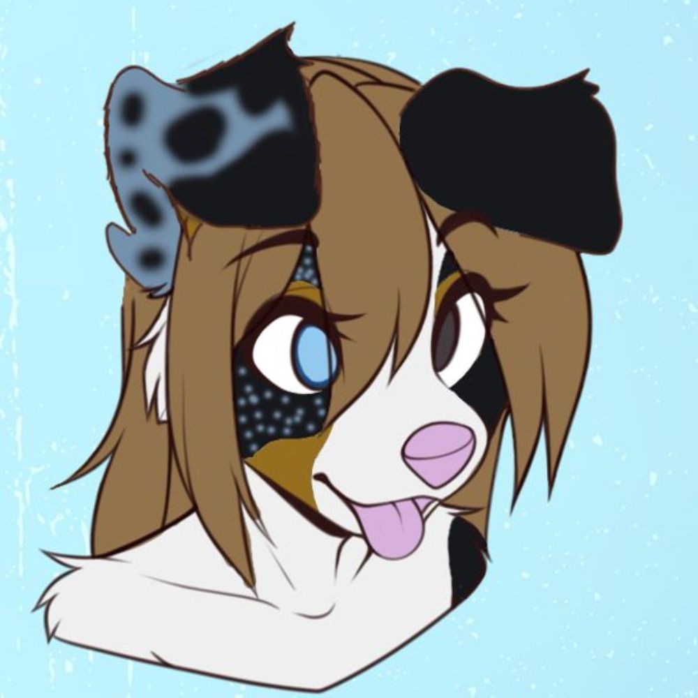 awruff