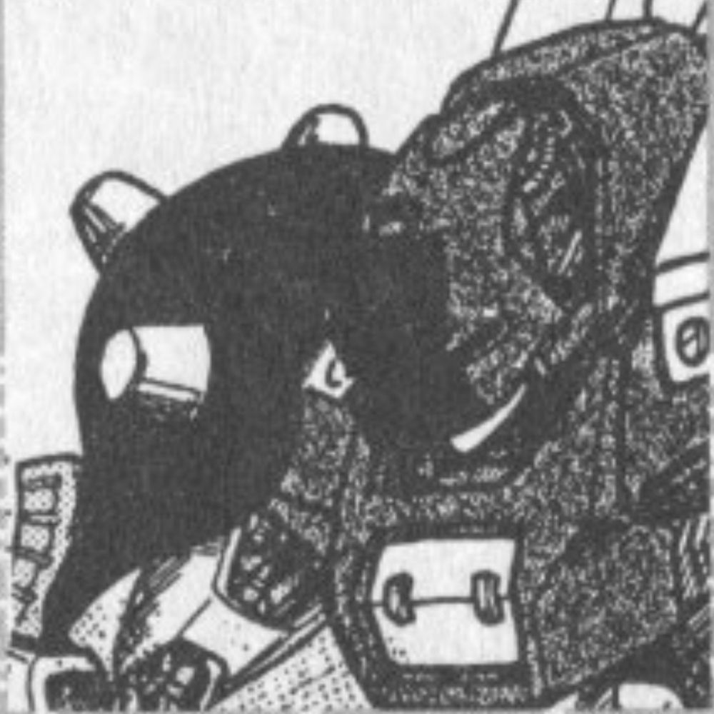 Seinvolf セインヴォルフ