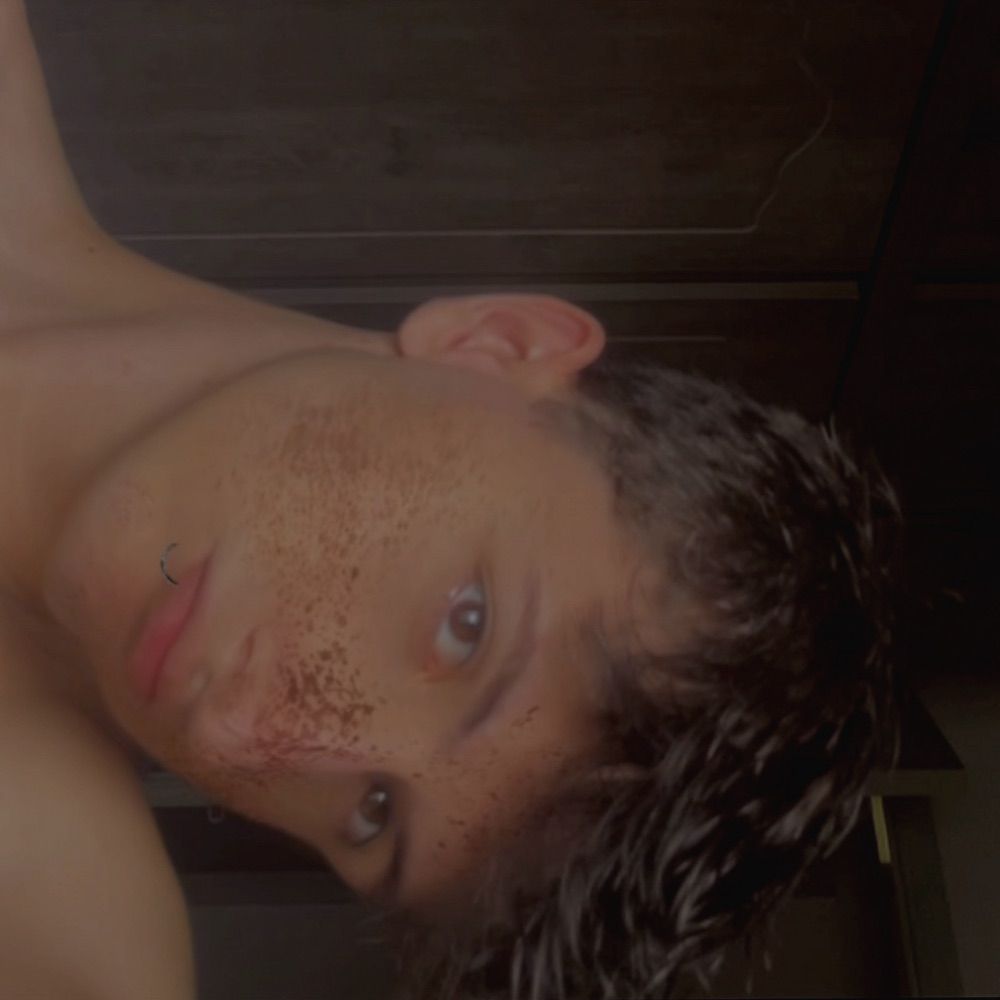 lucas manfrinato 
