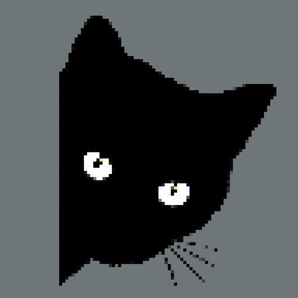 黒猫