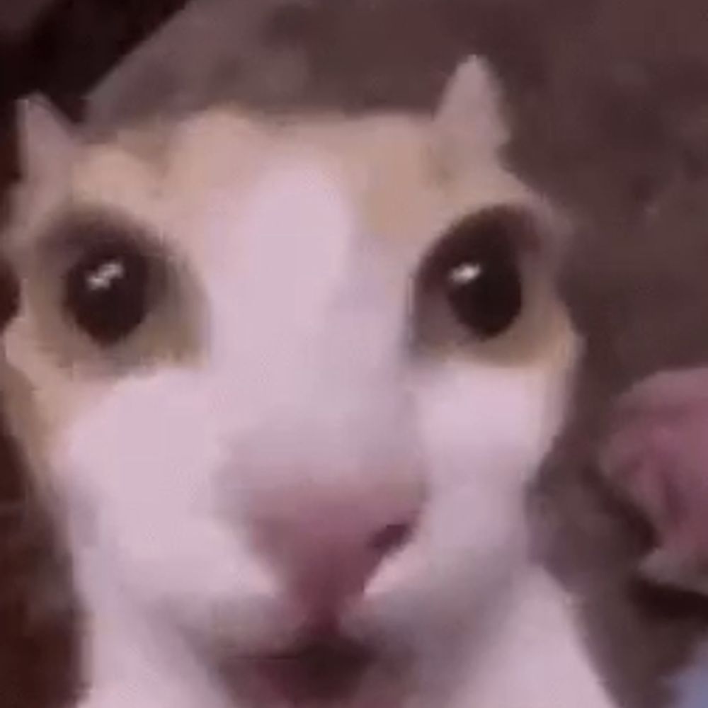 icedniko