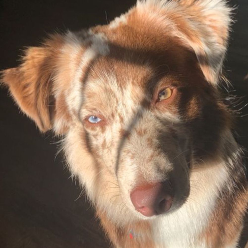 jax