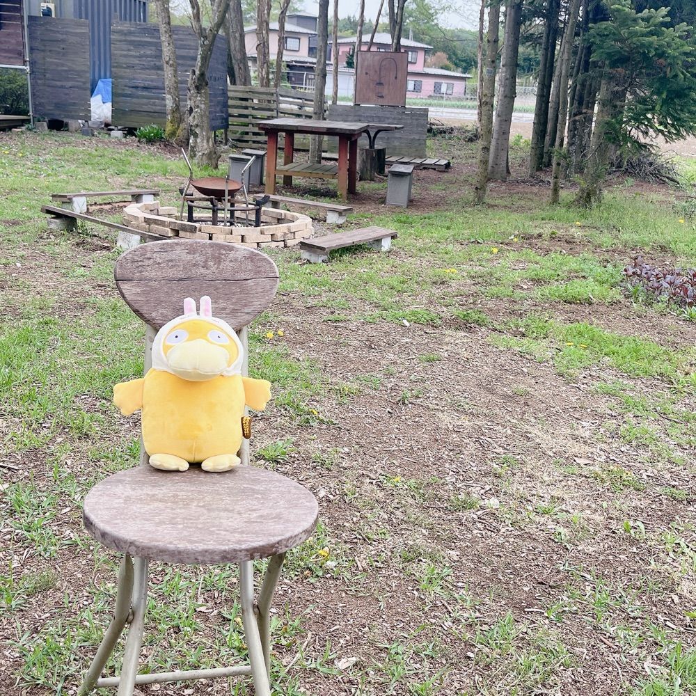 ﾌﾟﾙﾐ