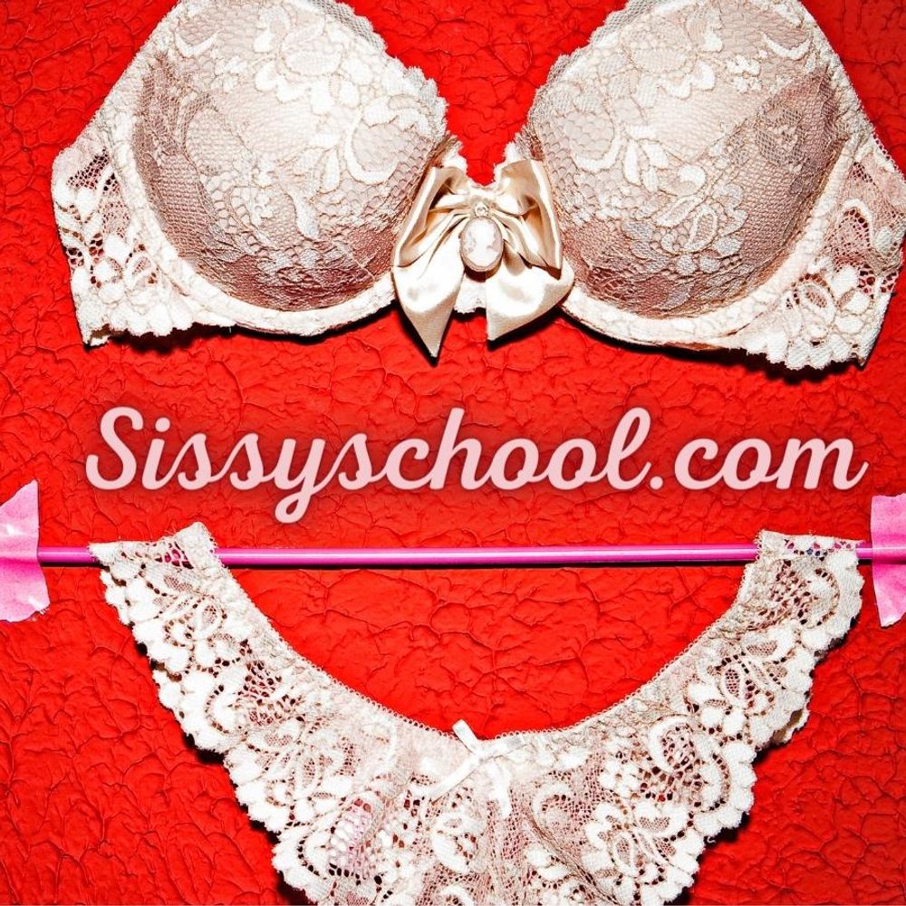 SissySchool