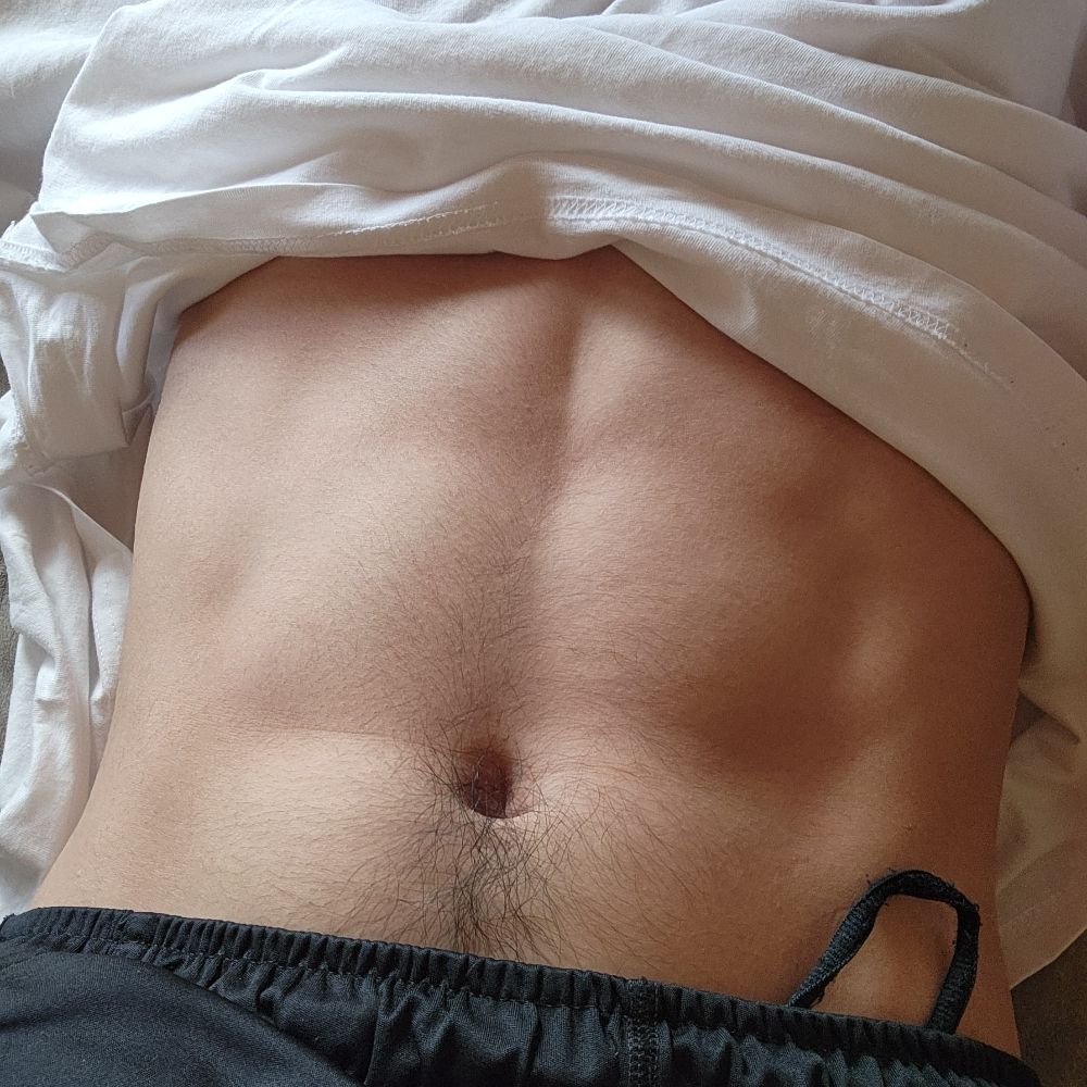 거북이