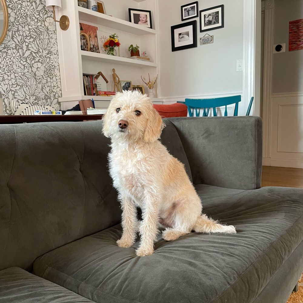 ladybird31.bsky.social