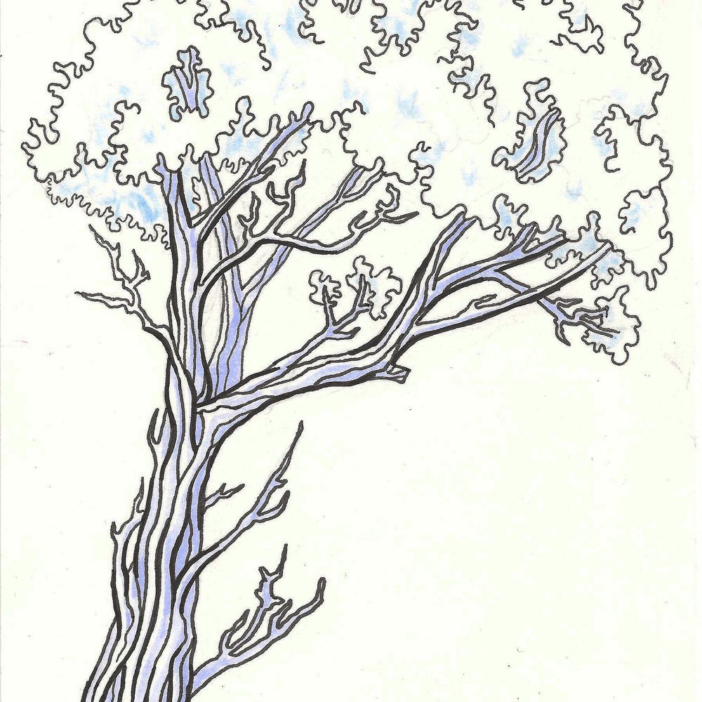 Juniper