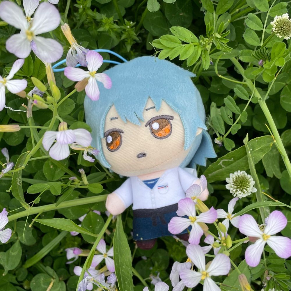 そぼろごはん