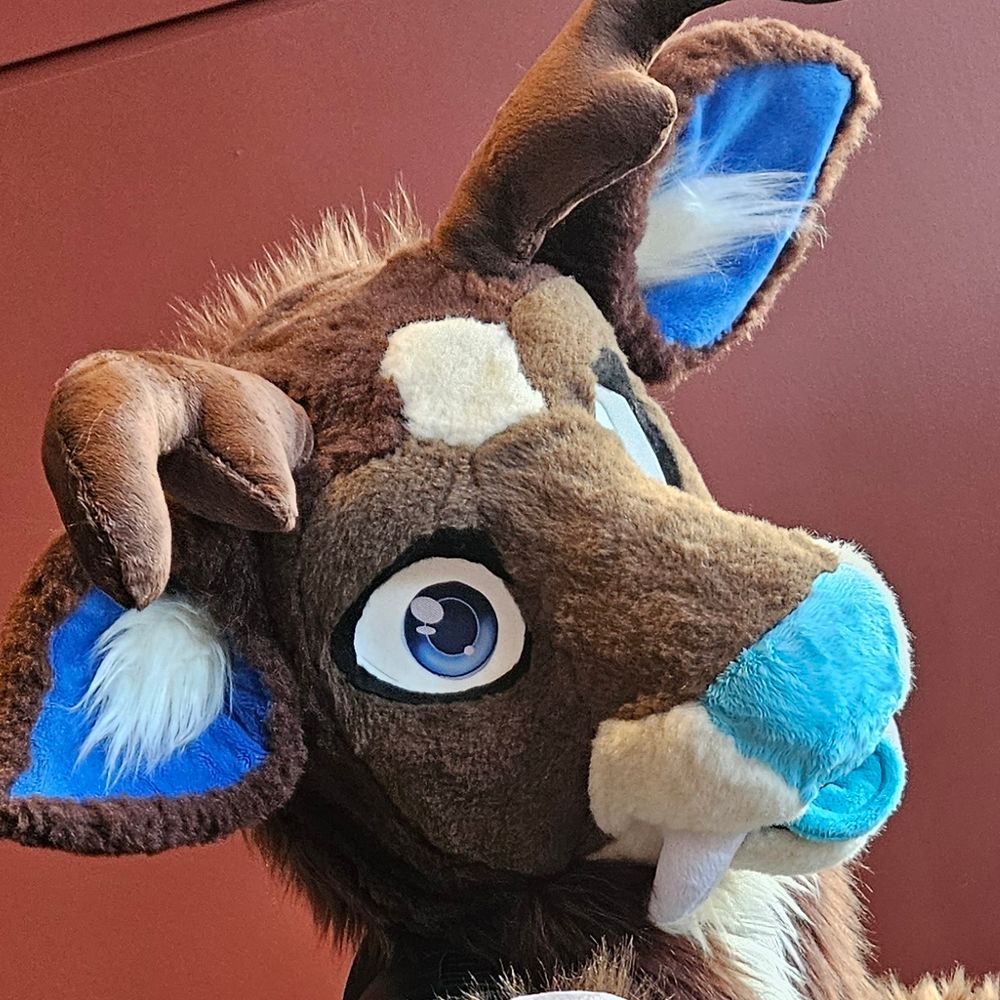🔞 Sorcery (PsyDeer) ➡️ Furrydelphia
