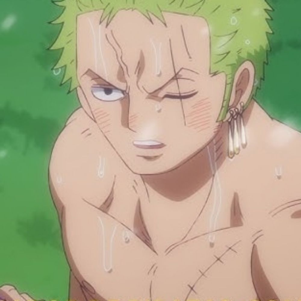 Roronoa Porn Star Zoro