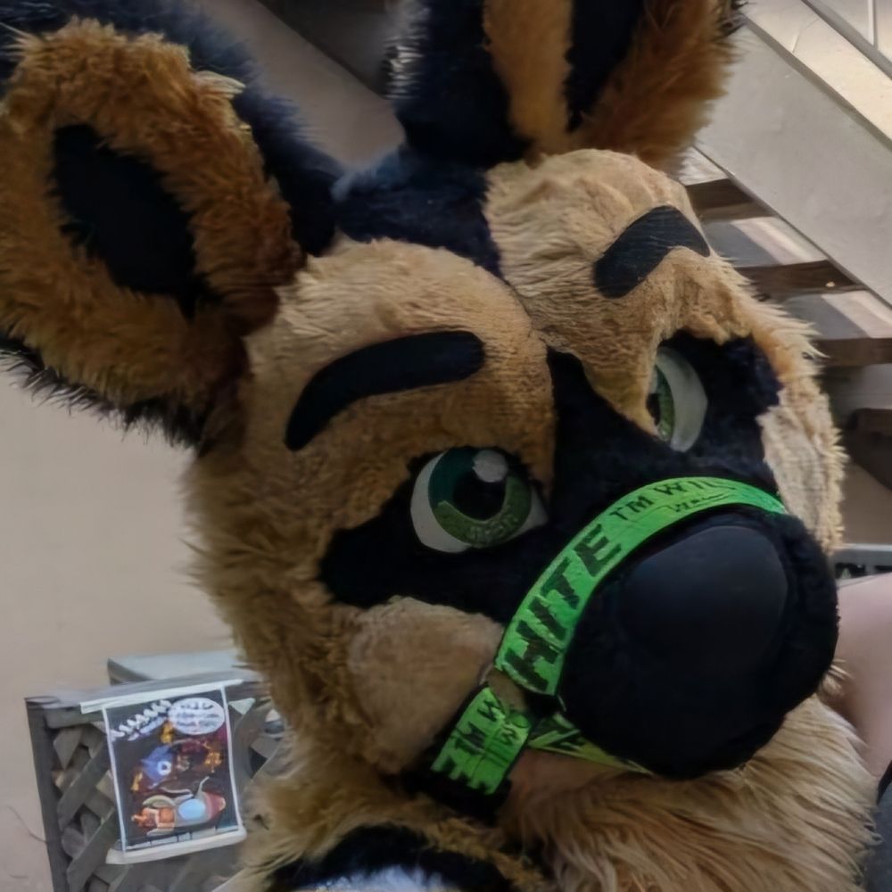 Zubari Wild Dog