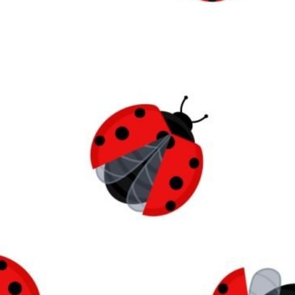 cococcinelle🐞▽⁷