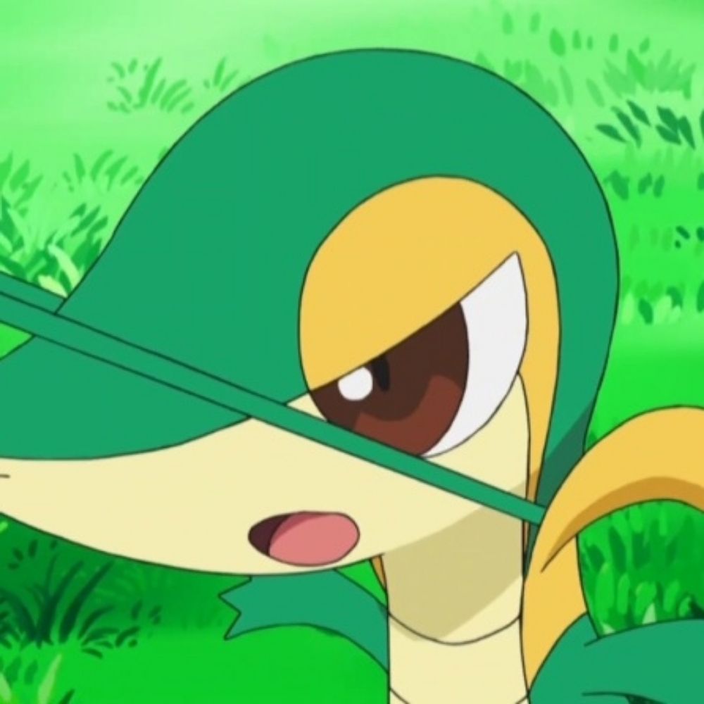 Snivy's #1 fan!!