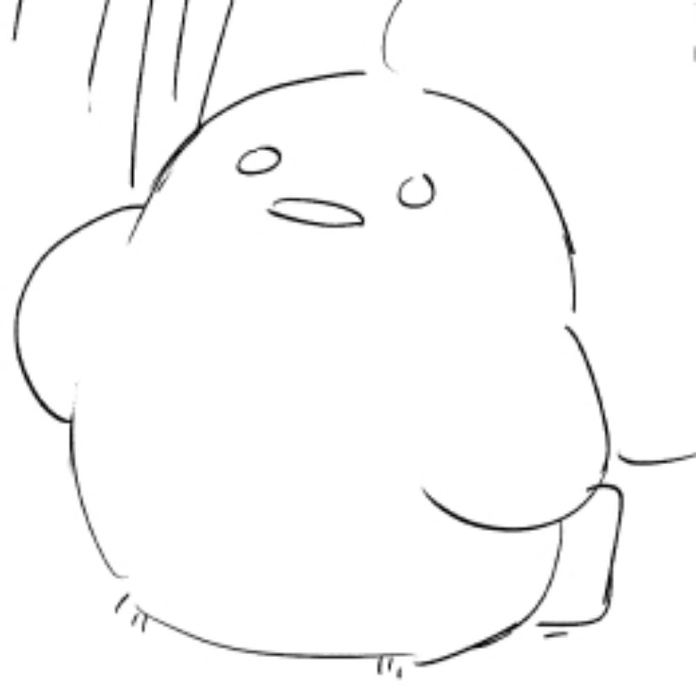 のきた