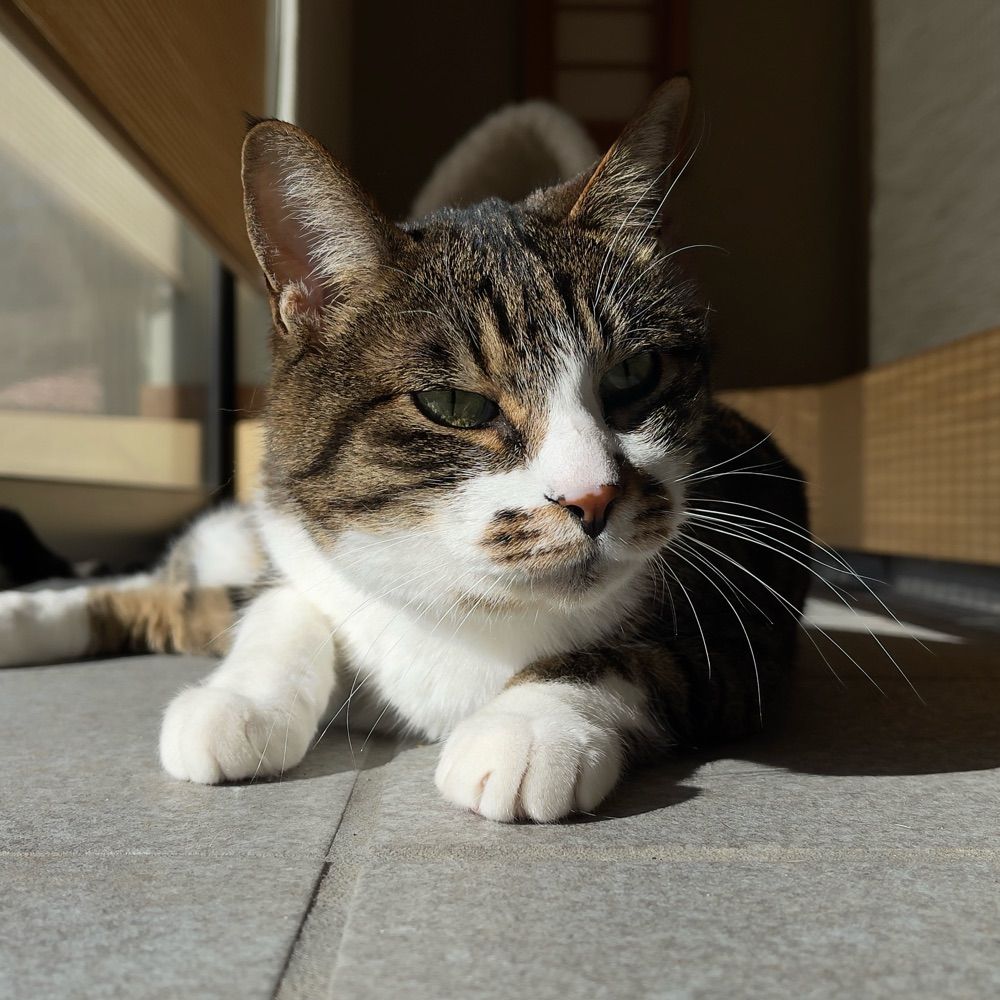 miki