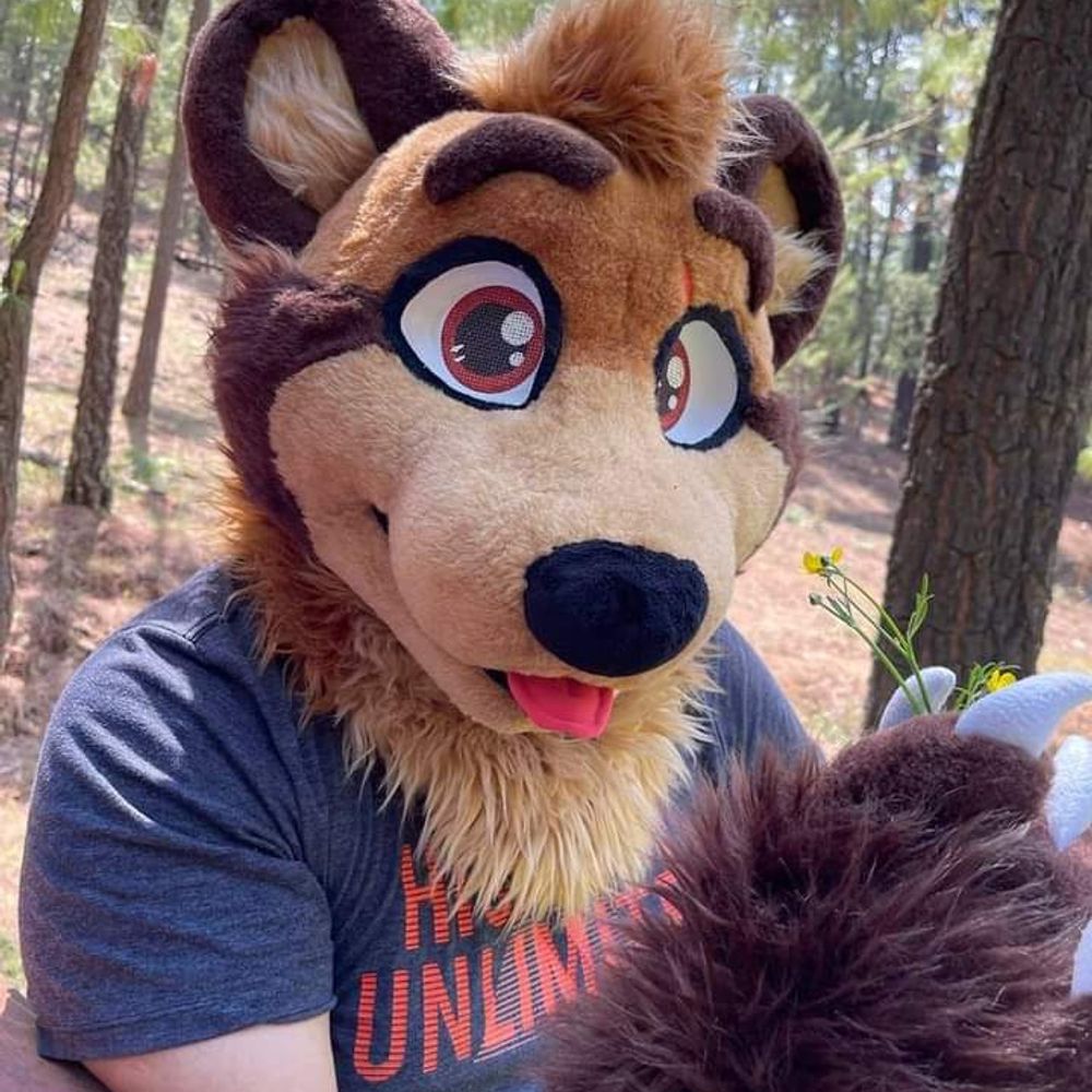 Remy Howlett 🐻🍃