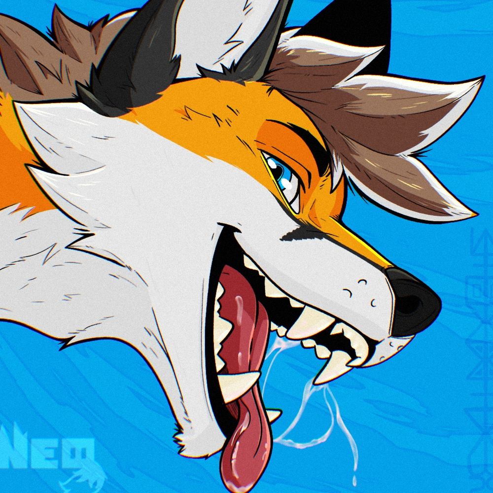Fex/Fidget