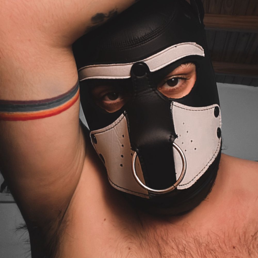 Polar Pup