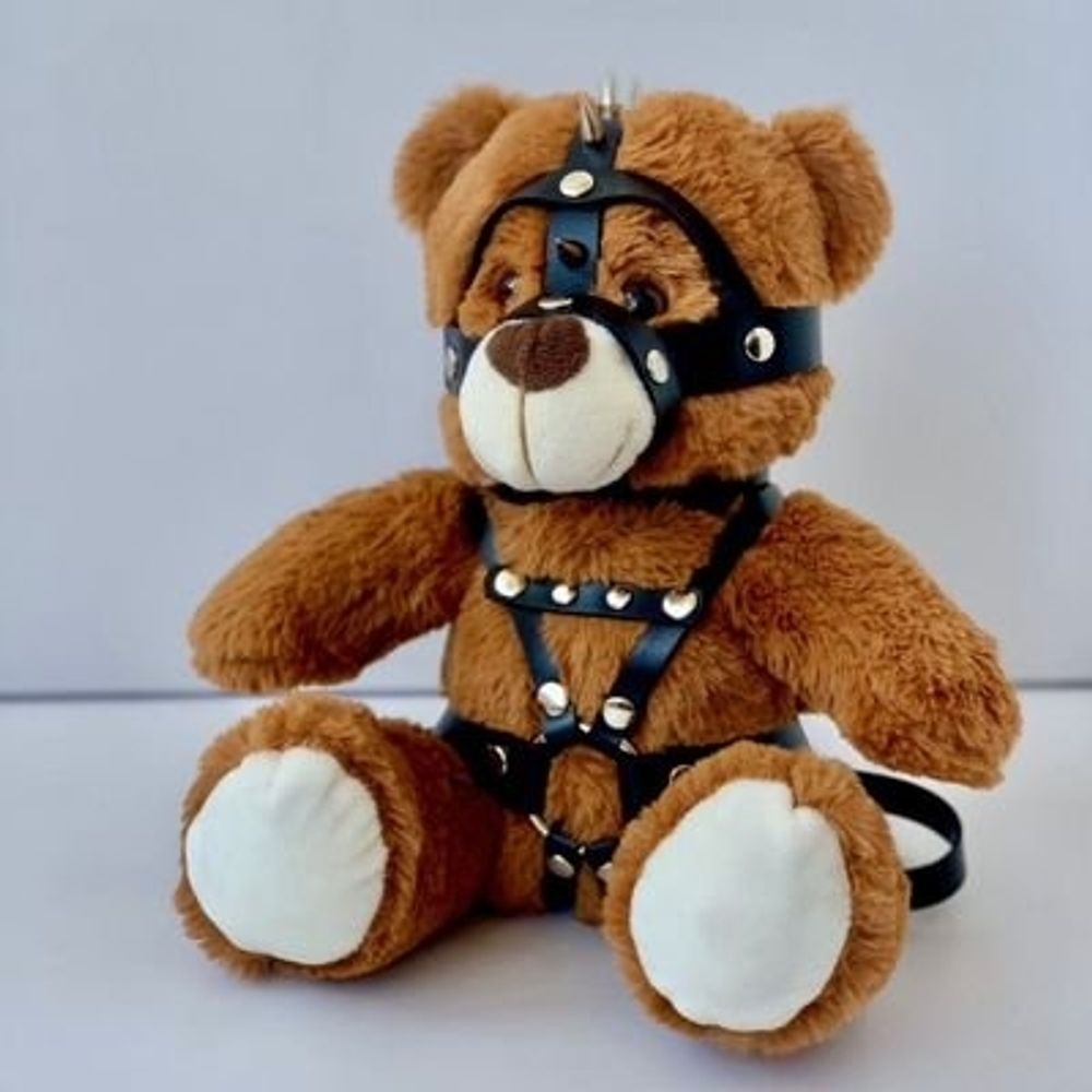 TexasTeddyBear